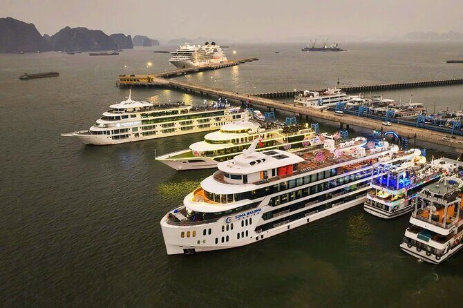 Luxury Luna Cruise Ha Long Bay Premium from Hanoi - What Sets This Cruise Apart?