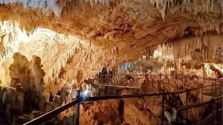 Mabinay Caves and Café Alicia Tour - Practical Details and Tips