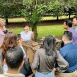 Macadamias Australia Orchard Tour in Bundaberg - Practical Information & Group Experience