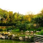 Macau Tour : Pickup + Red Panda + Insurance + Drop-off Hotel - Deep Dive: Why Value Matters