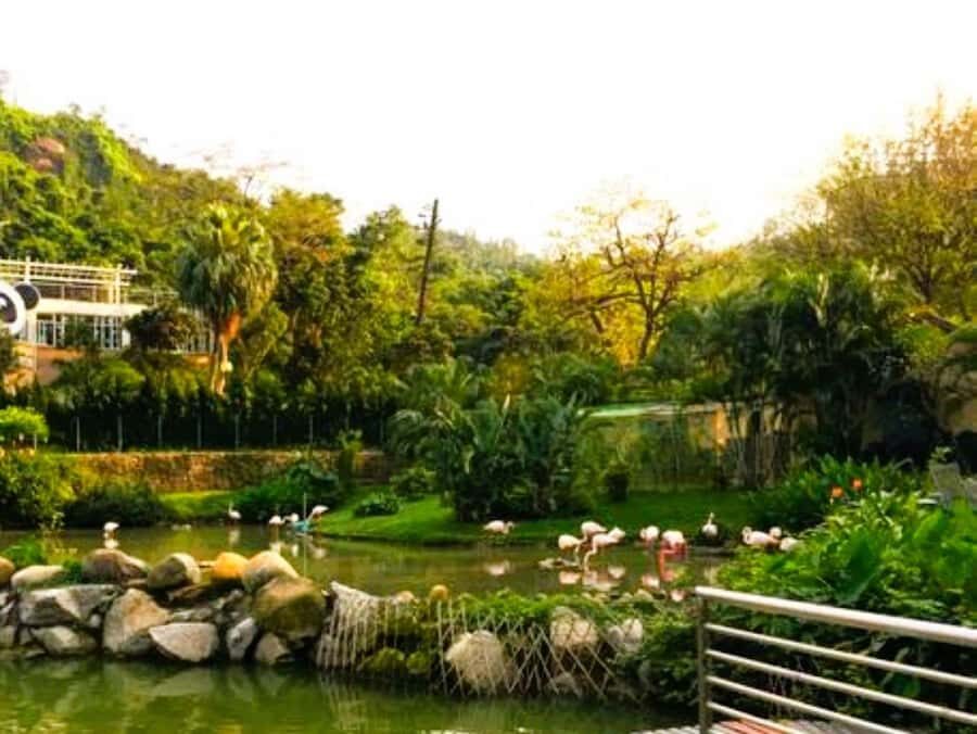 Macau Tour : Pickup + Red Panda + Insurance + Drop-off Hotel - Deep Dive: Why Value Matters