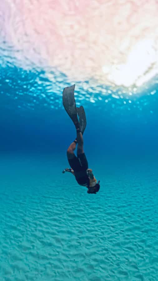 Mactan: Freediving and Island Hopping with lunch - Transportation & Timing: How the Day Flows