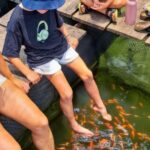 Madu River Safari from Hambantota - Value and Practical Considerations