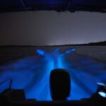 Magical Blue Tears Night Boat Tour in Kuala Selangor - The Location: Meeting Point and Accessibility