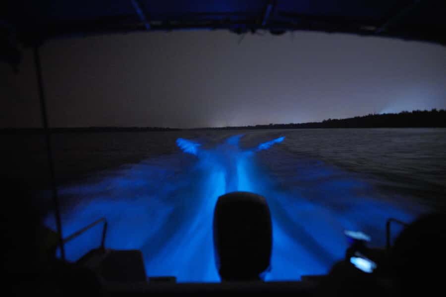 Magical Blue Tears Night Boat Tour in Kuala Selangor - The Location: Meeting Point and Accessibility