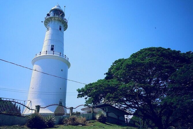 Magical Fireflies Tour - A Deep Dive into the Kuala Selangor Fireflies Tour