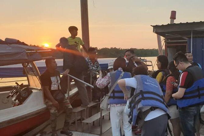 Magical Fireflies Tour - What Travelers Say: Authentic Feedback