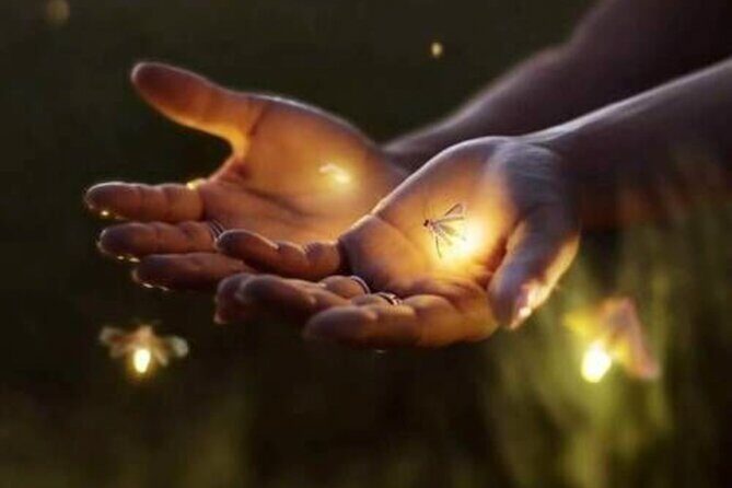 Magical Village Tour & Private Dinner with Fireflies in Bali - Who Would Love This Tour?