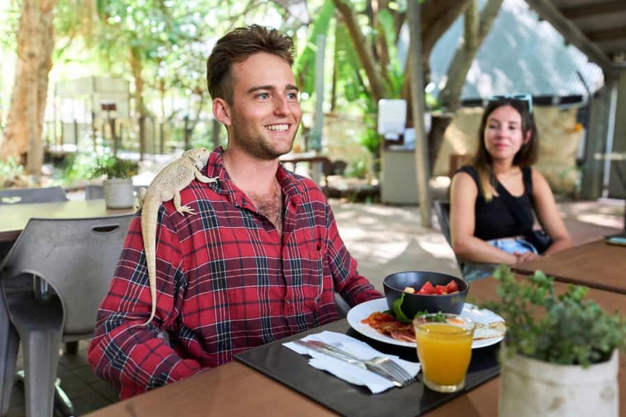 Magnetic Island: Breakfast with Koalas Experience - Who Should Consider This Experience?