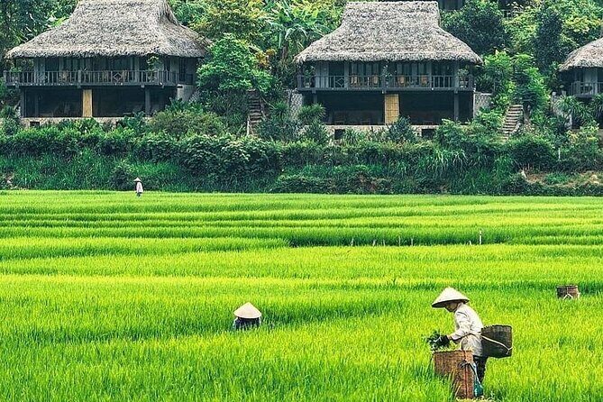 Mai Chau 1 Day: Cycle Through Peaceful Villages, Scenic Valleys - Practical Tips and Considerations