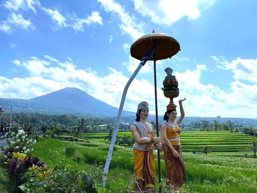 Mai Organic Farm Tour + Cooking Class - The Practicalities: What You Need to Know