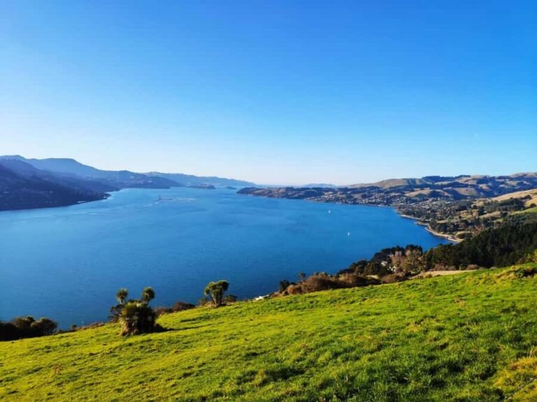 Mainland & Otago Peninsula Tour - What Travelers Can Expect