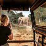 Majestic Sri Lanka in 13 Days All Inclusive VIP Tour by Sithiyam - Why This Tour Works