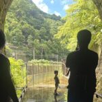 Makang, Mutan, Houtong Cat Village & Sandiaoling Day Tour - Who Should Book This Tour?