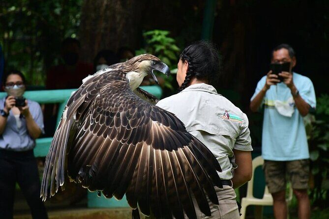Malagos Chocolate Factory & Museum , Philippine Eagle Center - Philippine Eagle Center: Conservation in Action