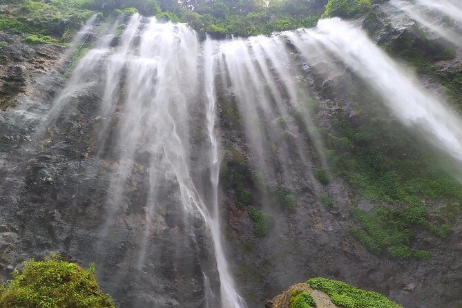 Malang Daily Tours - Detailed Review of the Experience