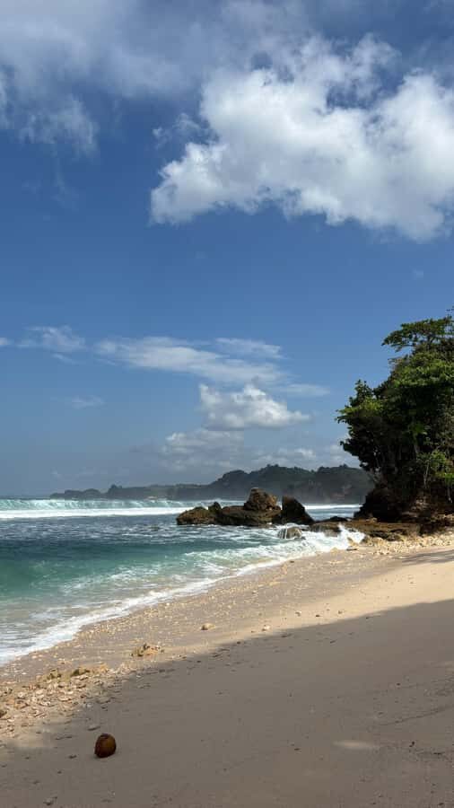 Malang: Private 4WD Jeep Tour to Batu Bengkung Beach - What Makes This Tour Special