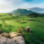 Malang: Ranu Manduro, Bromo, and Tumpak Sewu 2-Day Tour - Transportation, Guides, and Overall Experience