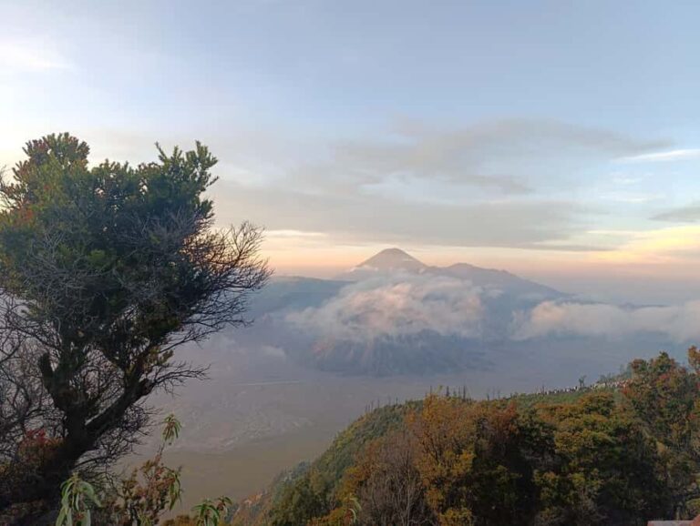 Malang/Surabaya: Stargazing Bromo Tour 2D1N - Who Will Love This Tour?