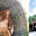 Malaysia Heritage Studios in Melaka - Practical Tips for Visiting