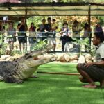 Malaysia: Langkawi Crocodile Adventureland Entry Ticket - The Bottom Line: Is It Worth It?