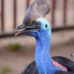 Malaysia: Langkawi Wildlife Park Entry Ticket - Practical Tips for Visiting