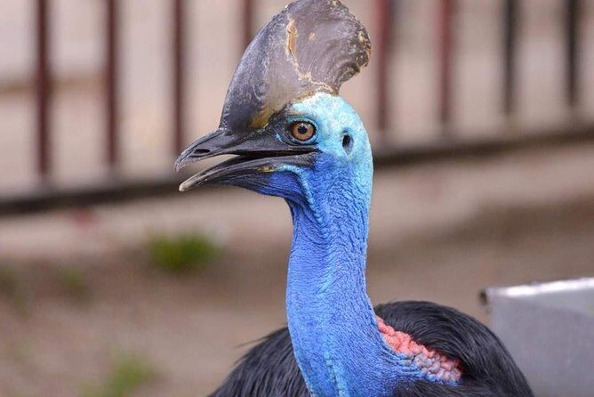 Malaysia: Langkawi Wildlife Park Entry Ticket - Practical Tips for Visiting