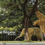 Malaysia National Zoo (Zoo Negara) with Giant Panda Viewing - Exploring Zoo Negara: An Honest Breakdown