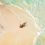 Maldives: Sandbank Tour with Snorkeling - What to Expect on the Sandbank Tour