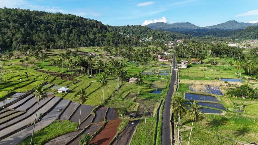 Manado: North Sulawesi Private Tour with Driver-Guide - Final Thoughts