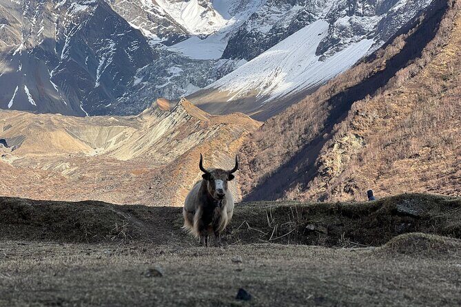 Manaslu Circuit Trek Untouched Beauty of Nepal - What Makes This Trek Special