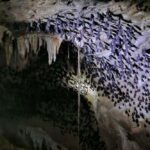 Mangrove Tour 3hour + Beach Swim + Free Lunch - The Itinerary Breakdown