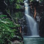 Manila: Hidden Valley Springs Day Tour with Lunch - Exploring the Volcano and Rainforest