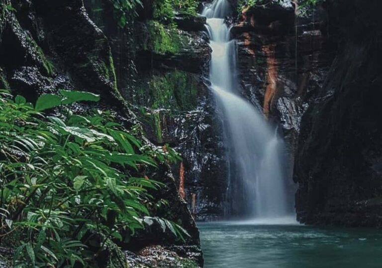 Manila: Hidden Valley Springs Day Tour with Lunch - Exploring the Volcano and Rainforest