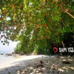 Manukan and Sapi Islands Excursion in Malaysia - Exploring the Itinerary in Depth