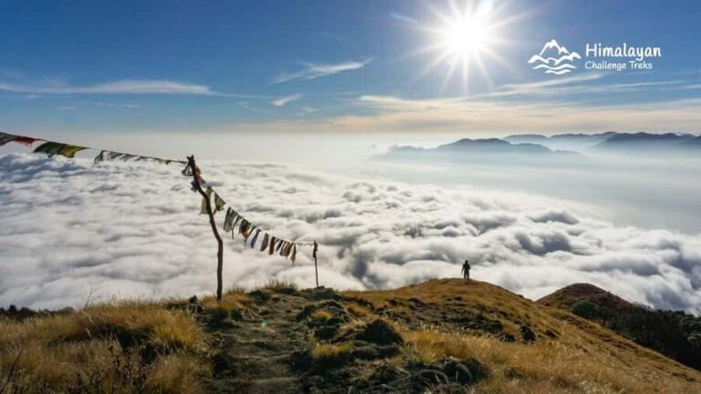 Mardi Himal Trek in 7 Days where Solitude Meets the Peak - What Makes This Trek Valuable?