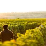 Margaret River Private Day Tour from Perth - The Itinerary in Detail