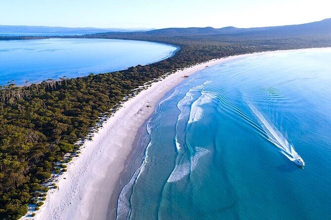 Maria Island 3 hours and 30 mins Scenic Cruise - Who Should Consider This Cruise?