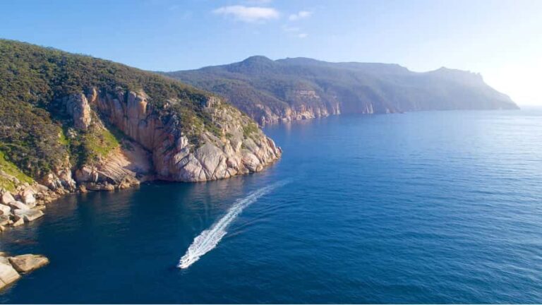 Maria Island 3 hours and 30 mins Scenic Cruise - An In-Depth Look at the Scenic Cruise Experience