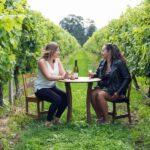 Marlborough Half Day Wine Tour From Picton 1pm - Transport and Flexibility: Why It Matters