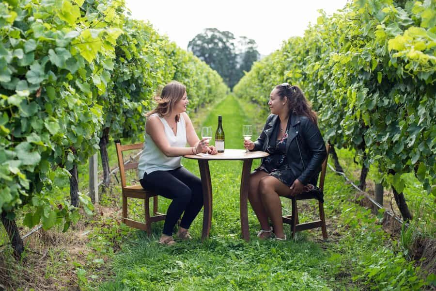 Marlborough Half Day Wine Tour From Picton 1pm - Transport and Flexibility: Why It Matters