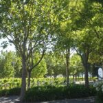 Marlborough Wine Region Tour from the Port of Picton - Authentic Experiences and Genuine Highlights