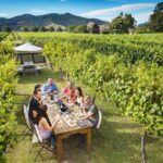 Marlborough Wine Tour: Including Cloudy Bay and Lunch - What Sets This Tour Apart