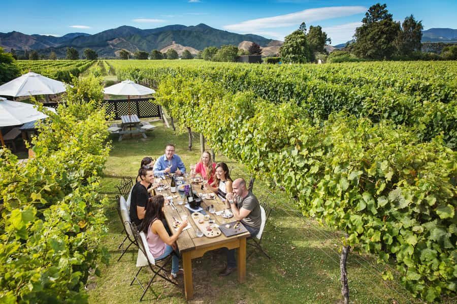 Marlborough Wine Tour: Including Cloudy Bay and Lunch - What Sets This Tour Apart