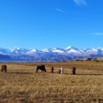 Marvellous 3 days around Issyk-Kul lake - What Makes This Tour Stand Out?