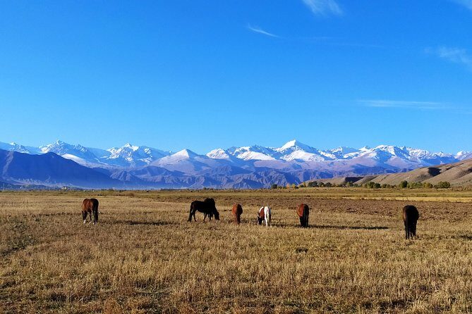 Marvellous 3 days around Issyk-Kul lake - What Makes This Tour Stand Out?