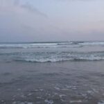 Matara: Temples, Hot Springs, and River Safari Day Trip - Final Thoughts: Is This Tour Right for You?