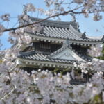 Matcha, Confections, and Traditions in Nishio From Nagoya - Price & Overall Value