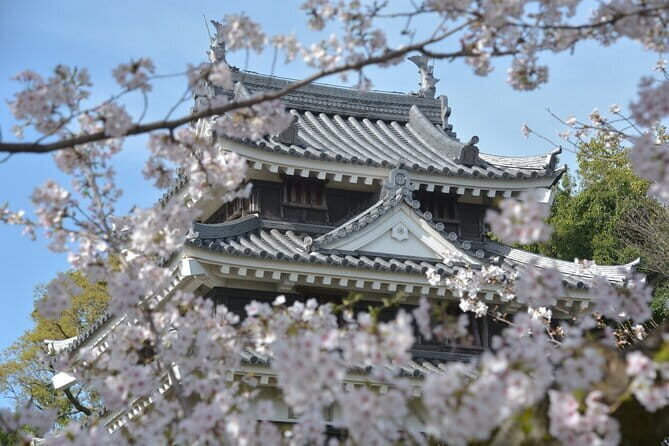 Matcha, Confections, and Traditions in Nishio From Nagoya - Price & Overall Value