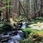 Matsumoto Mt.Hachibuse - The Trail Itinerary: What to Expect